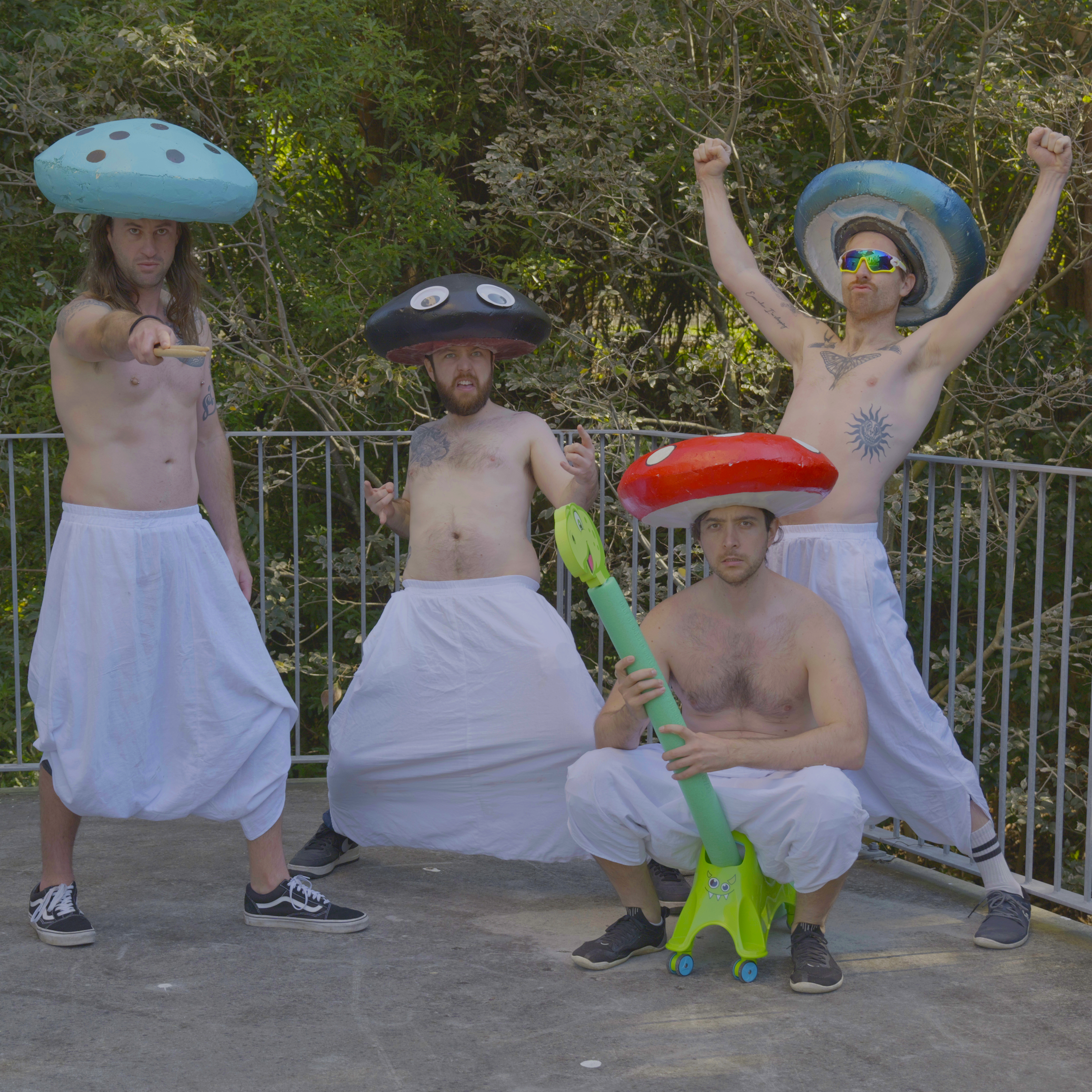 The Fungus — band photo
